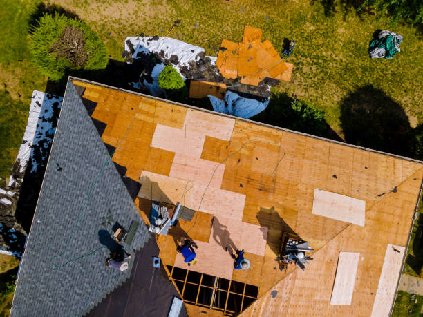 Best Gutter Installation and Roofing  in Bridgeport, IL