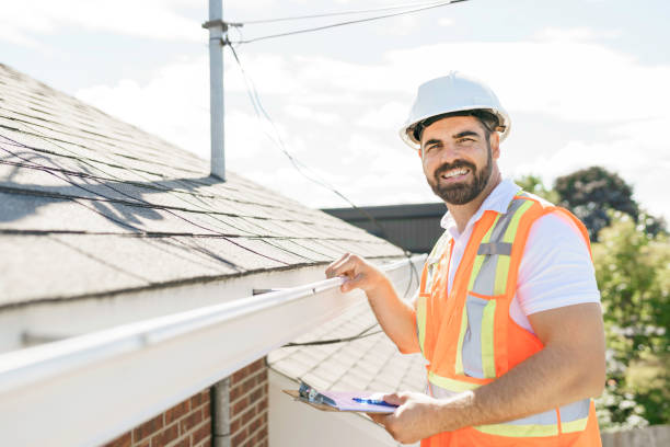 Best Roof Gutter Cleaning  in Bridgeport, IL