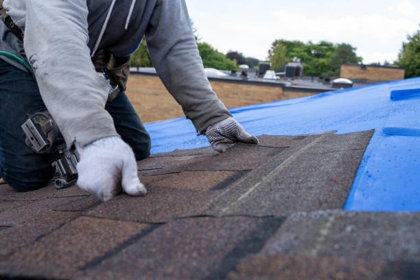 Roof Waterproofing Services in Bridgeport, IL