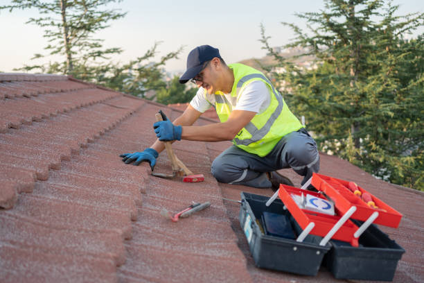 Best Flat Roof Repair Services  in Bridgeport, IL