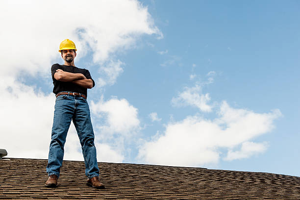 Roof Gutter Cleaning in Bridgeport, IL