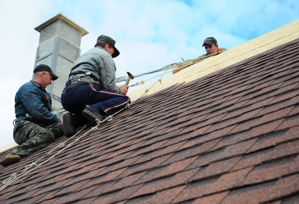 Tile Roofing Contractor in Bridgeport, IL